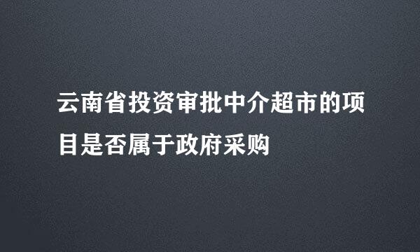 云南省投资审批中介超市的项目是否属于政府采购