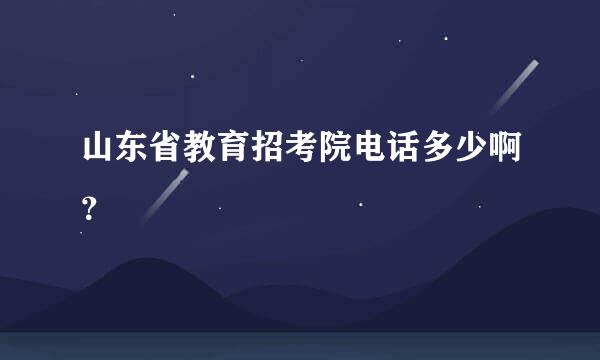 山东省教育招考院电话多少啊？