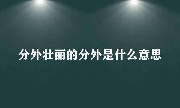 分外壮丽的分外是什么意思