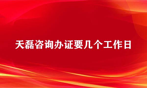 天磊咨询办证要几个工作日