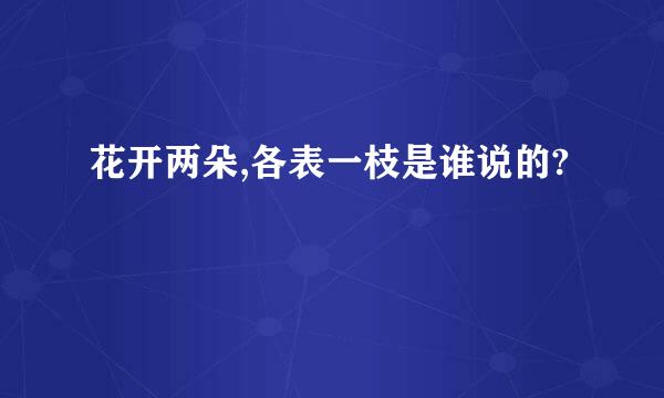 花开两朵,各表一枝是谁说的?