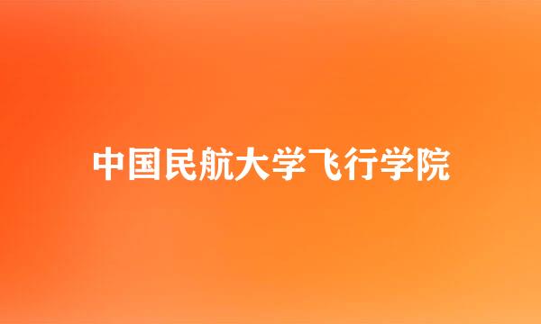 中国民航大学飞行学院