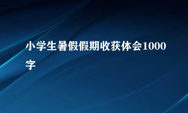 小学生暑假假期收获体会1000字