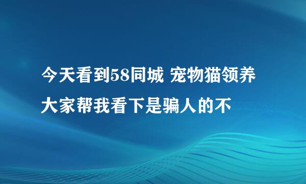 今天看到58同城 宠物猫领养大家帮我看下是骗人的不