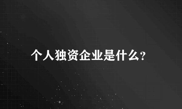 个人独资企业是什么？