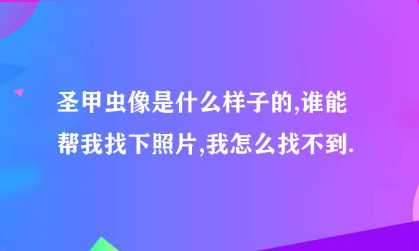 圣甲虫像是什么样子的,谁能帮我找下照片,我怎么找不到.