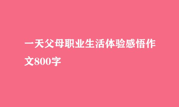 一天父母职业生活体验感悟作文800字