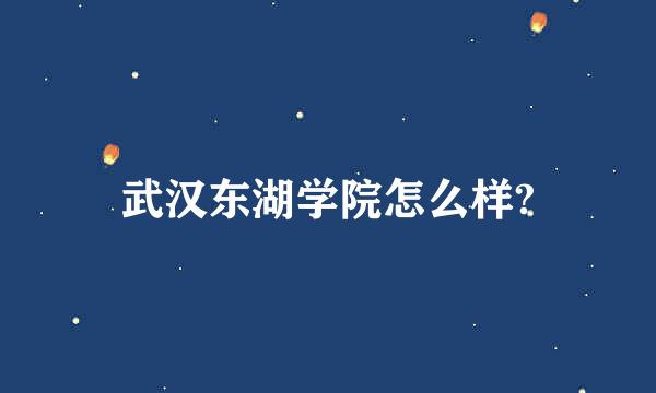 武汉东湖学院怎么样?