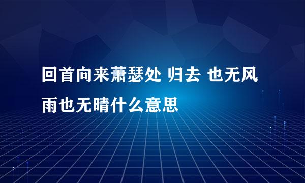 回首向来萧瑟处 归去 也无风雨也无晴什么意思