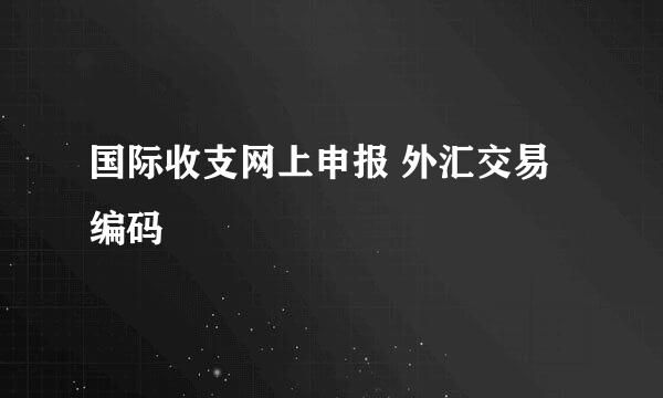 国际收支网上申报 外汇交易编码