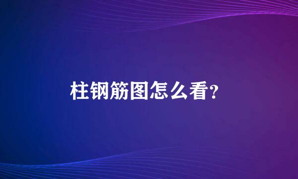 柱钢筋图怎么看？