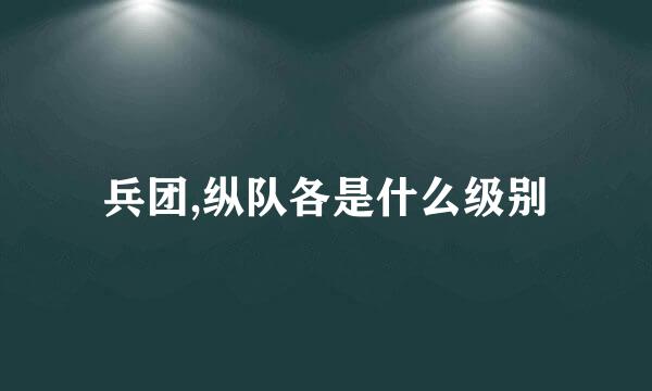 兵团,纵队各是什么级别