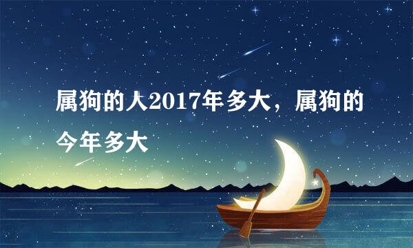 属狗的人2017年多大，属狗的今年多大