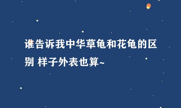 谁告诉我中华草龟和花龟的区别 样子外表也算~