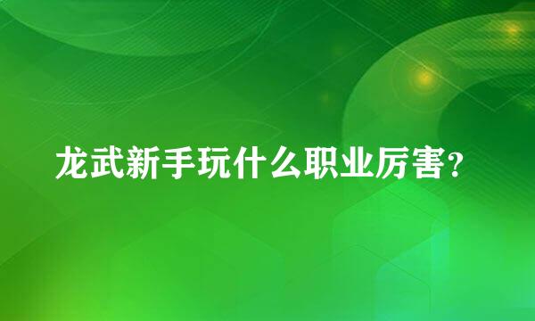 龙武新手玩什么职业厉害？