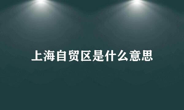 上海自贸区是什么意思