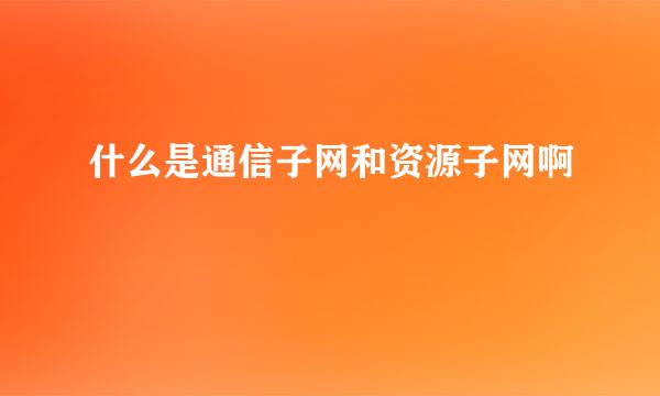 什么是通信子网和资源子网啊