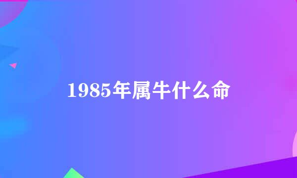 1985年属牛什么命