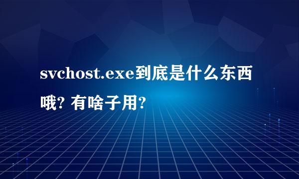 svchost.exe到底是什么东西哦? 有啥子用?