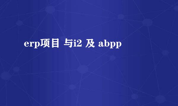 erp项目 与i2 及 abpp