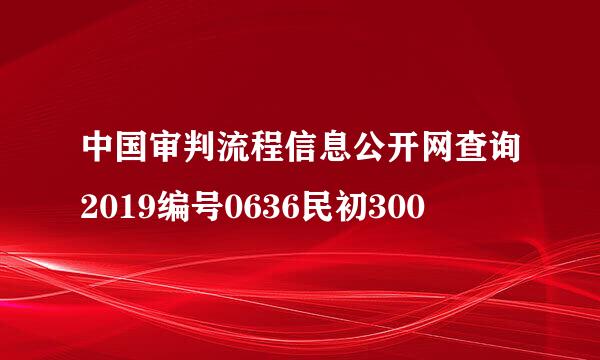 中国审判流程信息公开网查询2019编号0636民初300