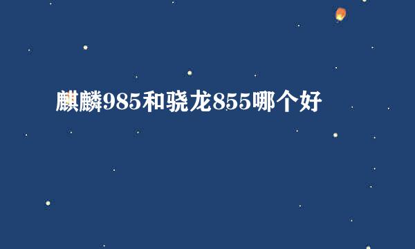 麒麟985和骁龙855哪个好