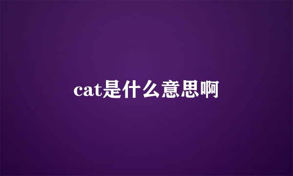 cat是什么意思啊