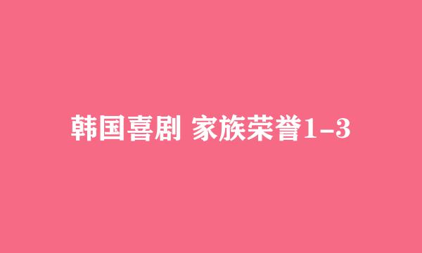 韩国喜剧 家族荣誉1-3