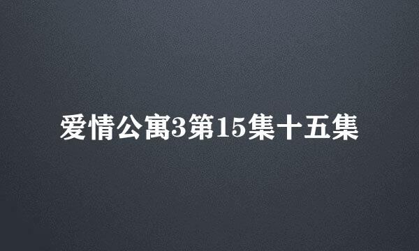 爱情公寓3第15集十五集