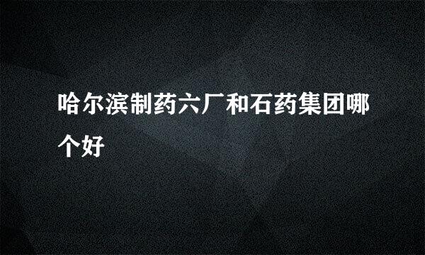 哈尔滨制药六厂和石药集团哪个好