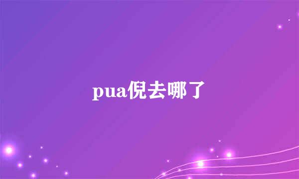 pua倪去哪了