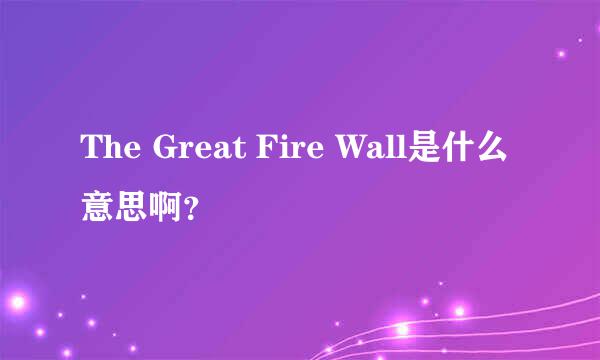 The Great Fire Wall是什么意思啊？