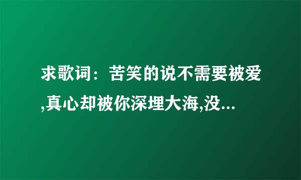 求歌词：苦笑的说不需要被爱,真心却被你深埋大海,没有陪伴的旅途只剩下流浪,就像孤独的小孩 是谁唱的 啥歌