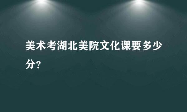 美术考湖北美院文化课要多少分？