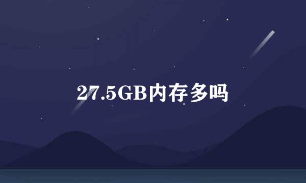 27.5GB内存多吗