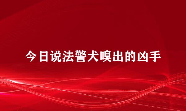 今日说法警犬嗅出的凶手