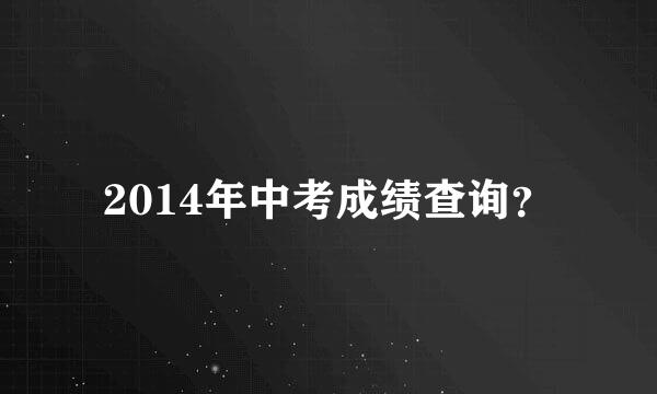 2014年中考成绩查询？