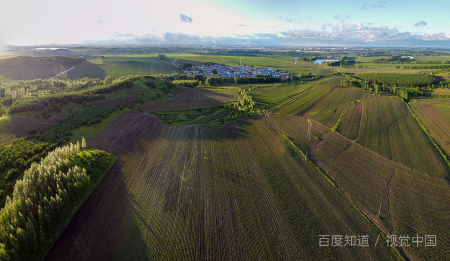 热带雨林气候有什么特点？