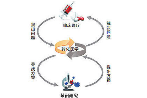 转化医学是什么意思