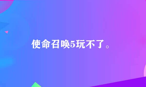 使命召唤5玩不了。