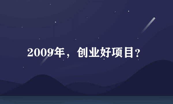 2009年，创业好项目？