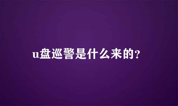 u盘巡警是什么来的？