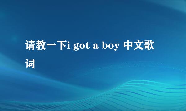 请教一下i got a boy 中文歌词