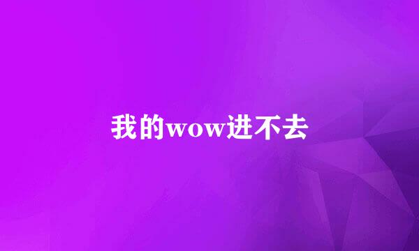 我的wow进不去