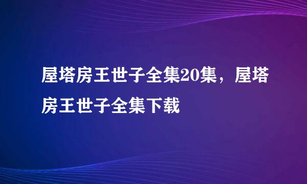 屋塔房王世子全集20集，屋塔房王世子全集下载