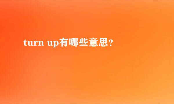 turn up有哪些意思？