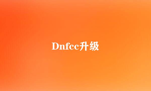 Dnfcc升级