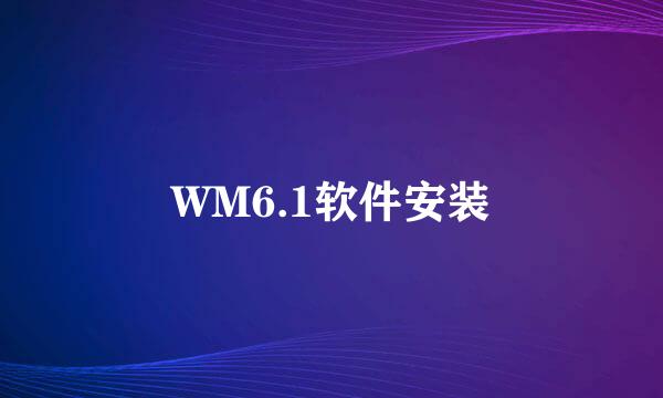 WM6.1软件安装