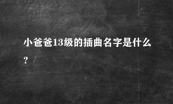 小爸爸13级的插曲名字是什么？