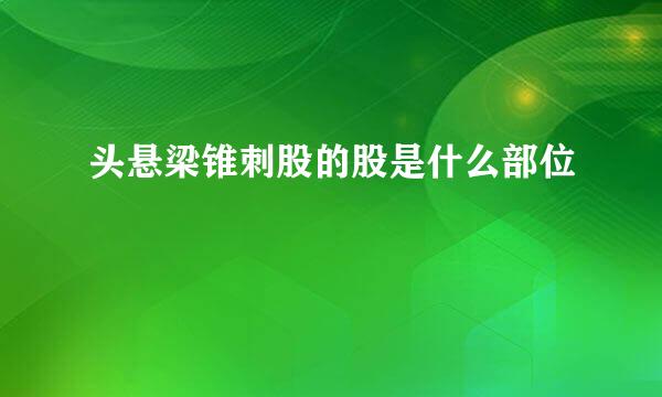 头悬梁锥刺股的股是什么部位